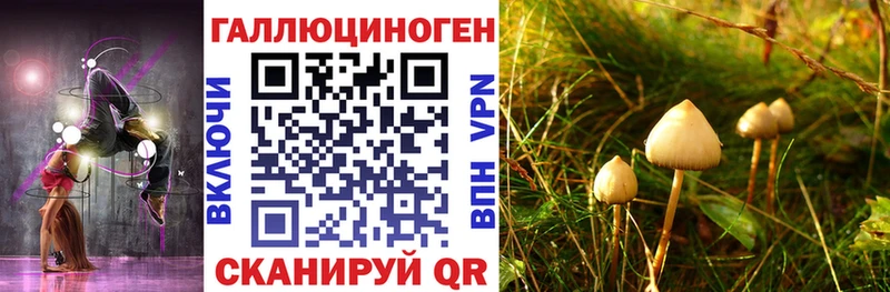 Галлюциногенные грибы Psilocybe  закладка  Берёзовка 